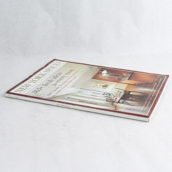 New York Spaces Magazine Vol 2 Issue 6 Jan 2006 - Pre-Owned, Unique Insights