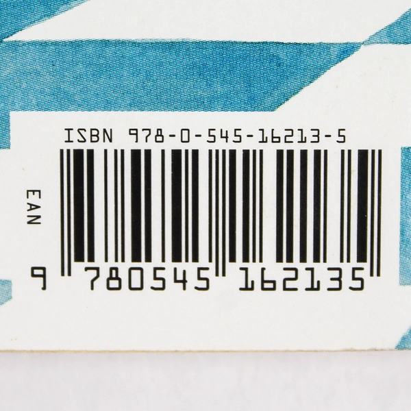 Bad Kitty Gets A Bath by Nick Bruel 2009 Paperback
