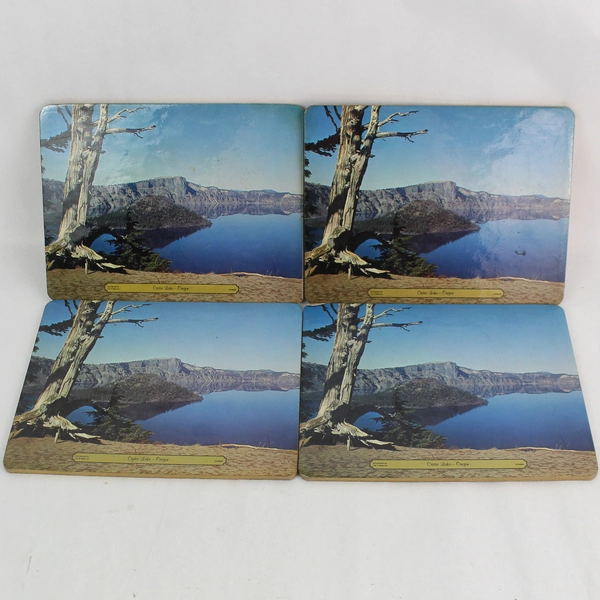 Lot of 7 Vintage Oregon Travel Cork Back Table Trivets or Plaques