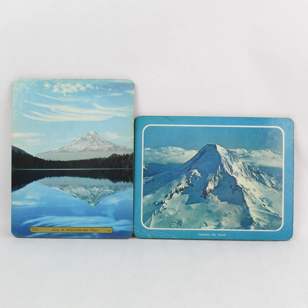 Lot of 7 Vintage Oregon Travel Cork Back Table Trivets or Plaques