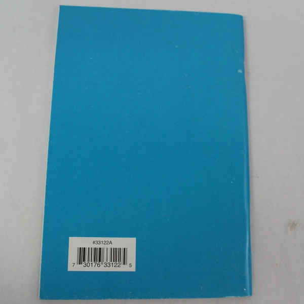 2001 Boy Scouts Group Meeting Sparklers Booklet - Historical Collectible