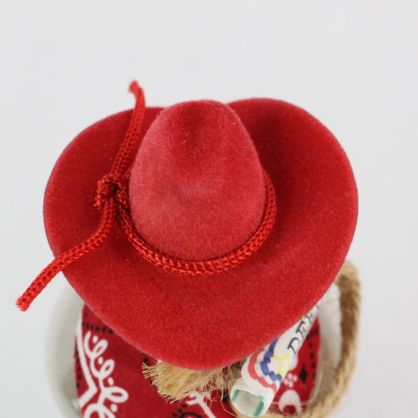 Texas Ranch Land Bottle Novelty Gift - Unique Texas Charm