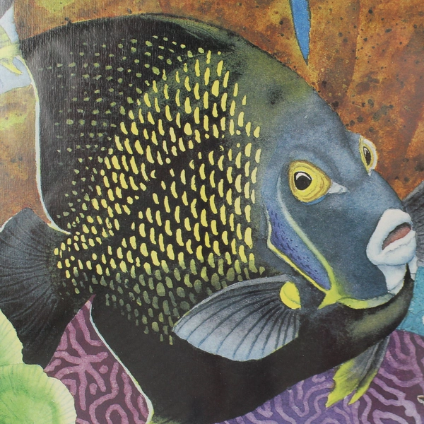 Mark Newman Art Print Tropical Fish Watercolor Signed and Framed 437/500