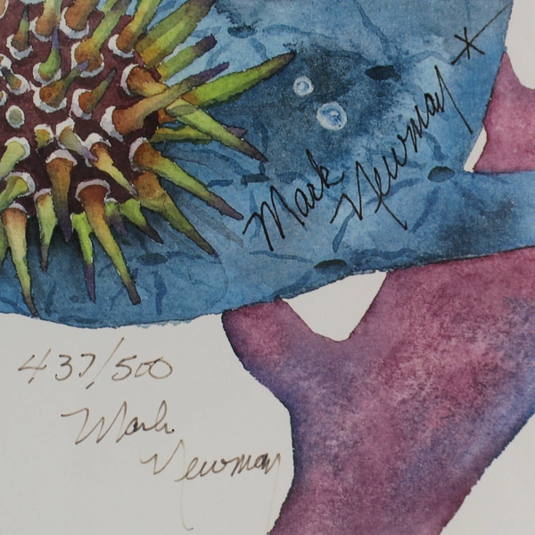 Mark Newman Art Print Tropical Fish Watercolor Signed and Framed 437/500