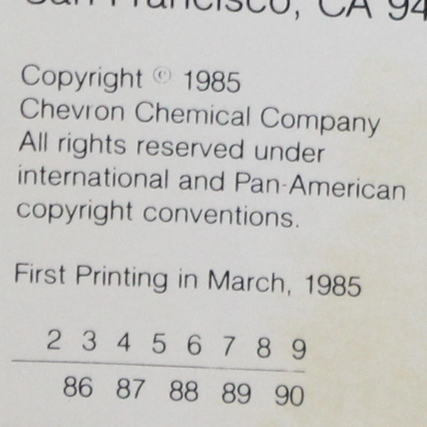 Lot of 2 Ortho Books Outside Buildings and Designs