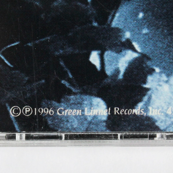 I Will Risk My Skin CD by Inti-Illimani 1996 Green Linnet - Good Condition