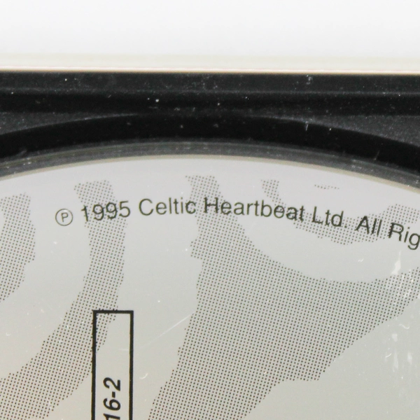 Riverdance Bill Whelan Music CD 1995 Theatrical Musical - Good Condition