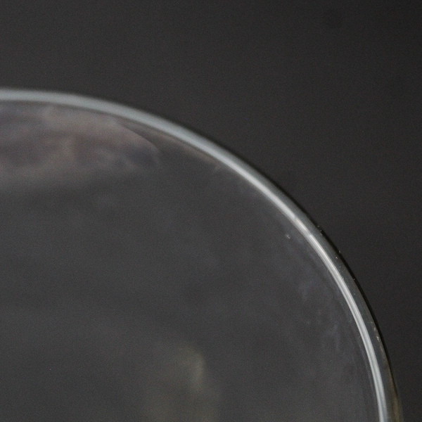 Set of 6 Unmarked Tall Clear Tumbler Glasses