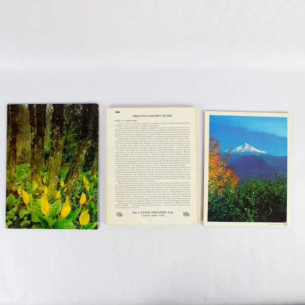 Lot of 3 Vintage Books Magazines About Oregon Culture & Nature Paperback