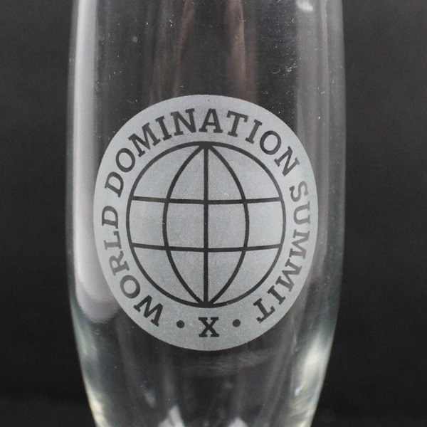 Two Libbey Perception Crystal Champagne Glasses World Domination Summit