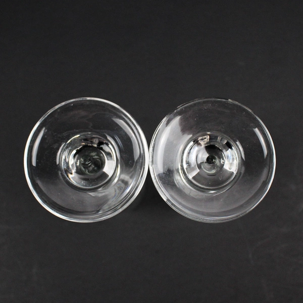 Two Libbey Perception Crystal Champagne Glasses World Domination Summit