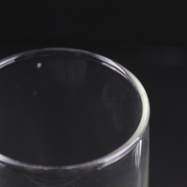 Two Libbey Perception Crystal Champagne Glasses World Domination Summit