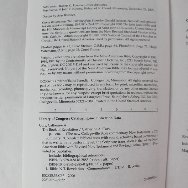 The Book of Revelation Vol. 12 by Catherine A. Cory 2006 Paperback