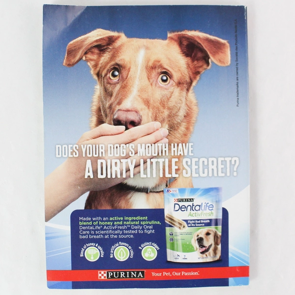 Reader's Digest Magazine October 2019 - 20 Foods That Heal - Very Good Condition