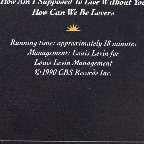 Michael Bolton Soul Provider: The Videos VHS Tape 1990