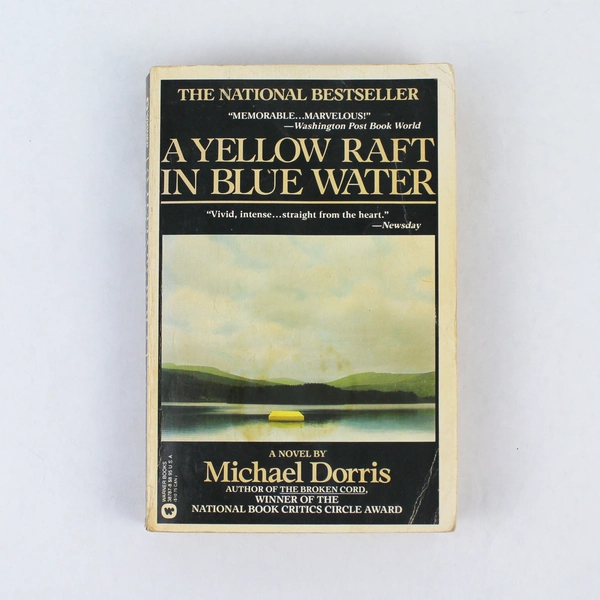 Yellow Raft in Blue Water by Michael Dorris 1988 Trade Paperback, Good Condition