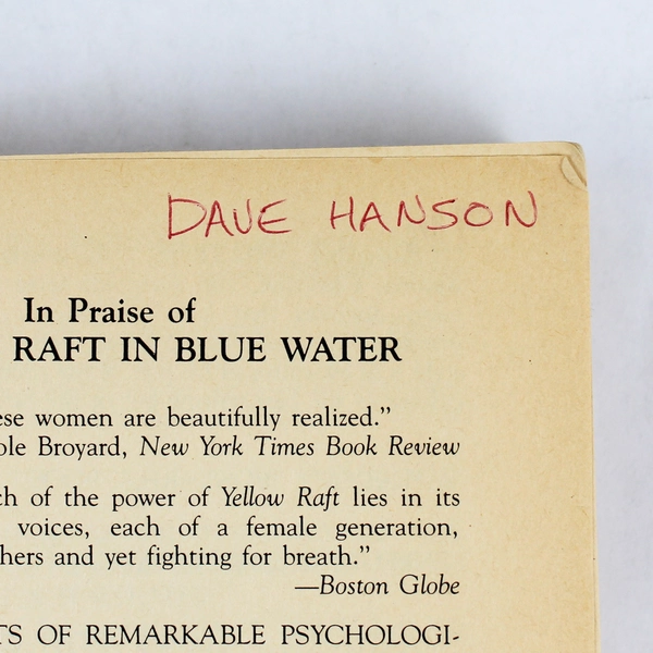 Yellow Raft in Blue Water by Michael Dorris 1988 Trade Paperback, Good Condition