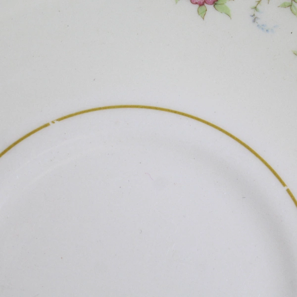 Set of 5 Homer Laughlin Eggshell Nautilus Arostocrat Saucers