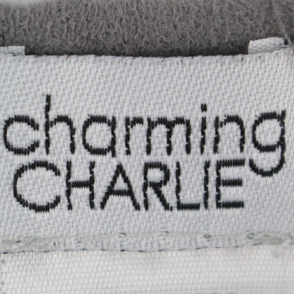 Charming Charlie Women's Dark Gray T-Shirt Size Small - Casual Top