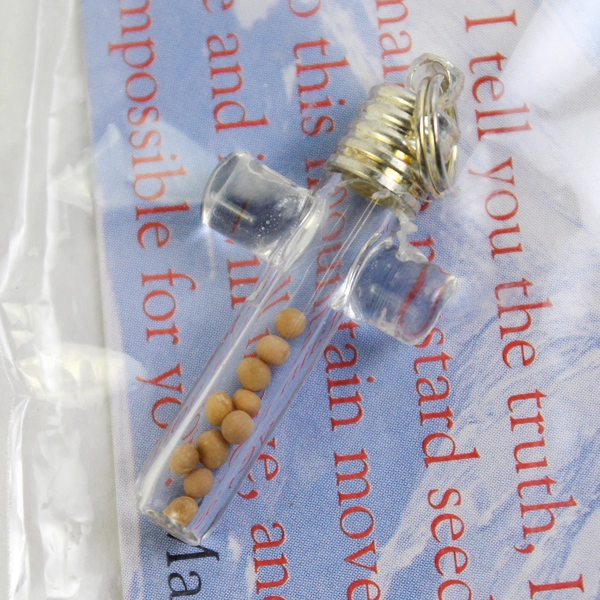 Clear Glass Christian Cross Pendant With Mustard Seeds