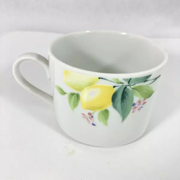 5 Le Monde Cuisine Springtime Flat Bottom Cups & 6 Saucers By International 21