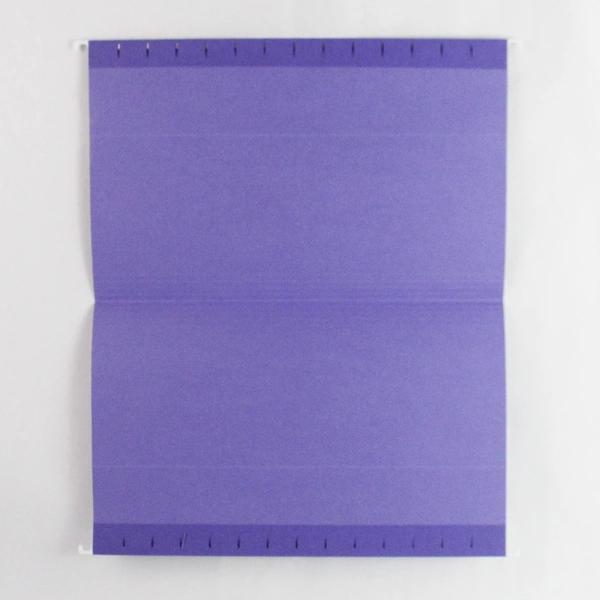 Lot of 25 Purple Legal Size Hanging File Folder Inserts Document Organizers