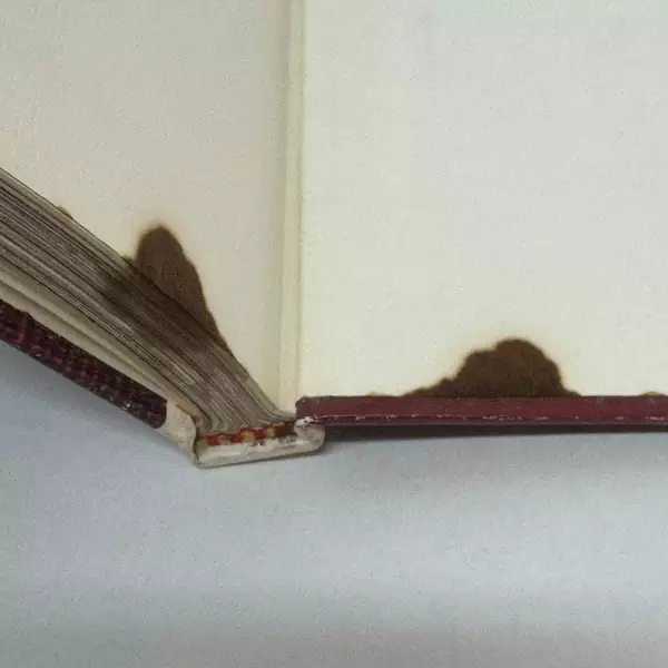 Middle Eastern Cooking by Harry G. Nickles Hardcover 1969