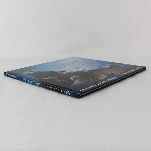 On This Special Night by Claire Freedman & Simon Mendez - Illustrated Book