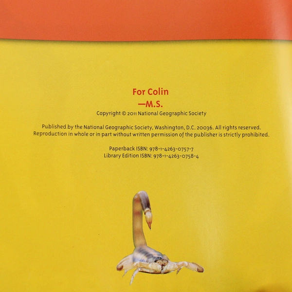 Lot of 4 Scholastic Animal & Dinosaur Books 2010-2014 - Great Condition!