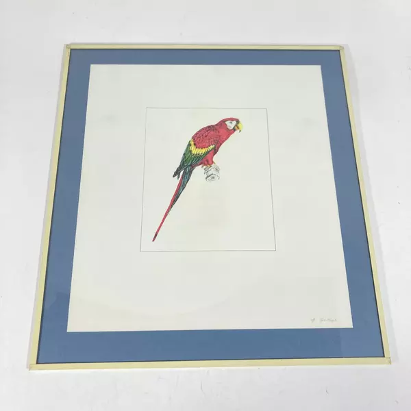 Framed And Matted Parrot Art Print Signed G. Zuniga 12 x 11 Inch