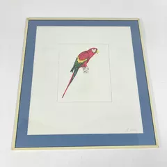 Framed And Matted Parrot Art Print Signed G. Zuniga 12 x 11 Inch