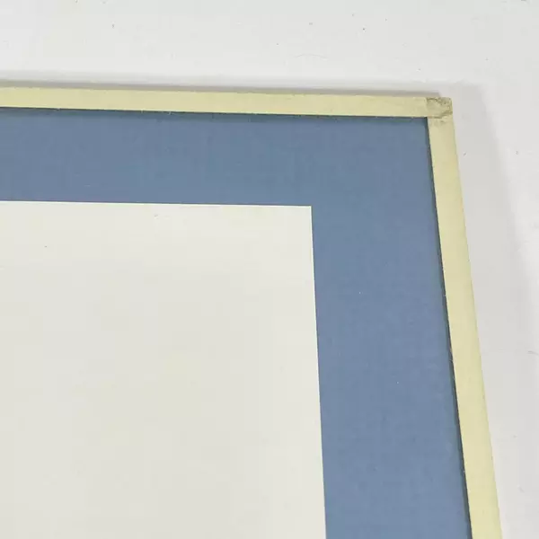 Framed And Matted Parrot Art Print Signed G. Zuniga 12 x 11 Inch