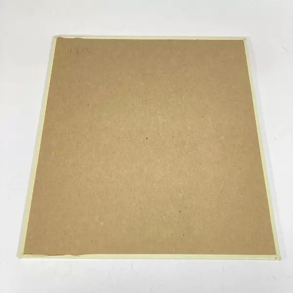 Framed And Matted Parrot Art Print Signed G. Zuniga 12 x 11 Inch