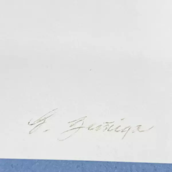 Framed And Matted Parrot Art Print Signed G. Zuniga 12 x 11 Inch