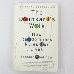 Drunkard's Walk How Randomness Rules Our Lives by Leonard Mlodinow 2009 Good