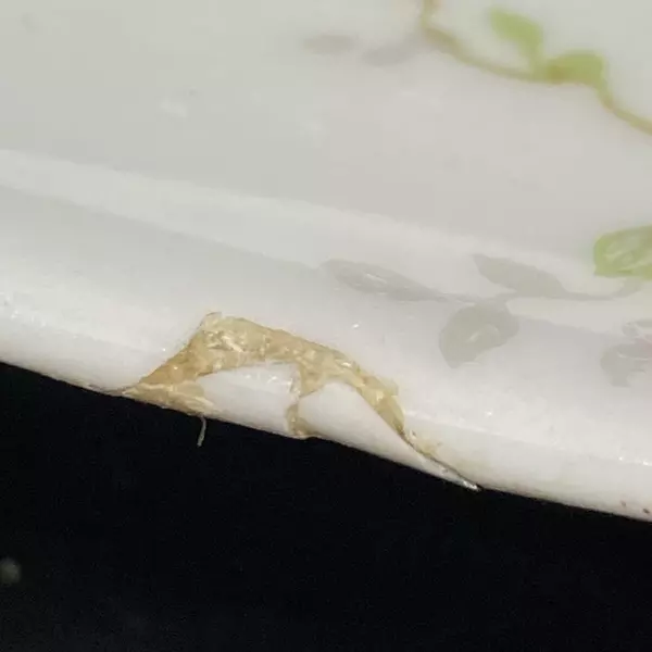 Vintage Theodore Haviland Oval Platter Pink Roses 11.5"x9" Chip