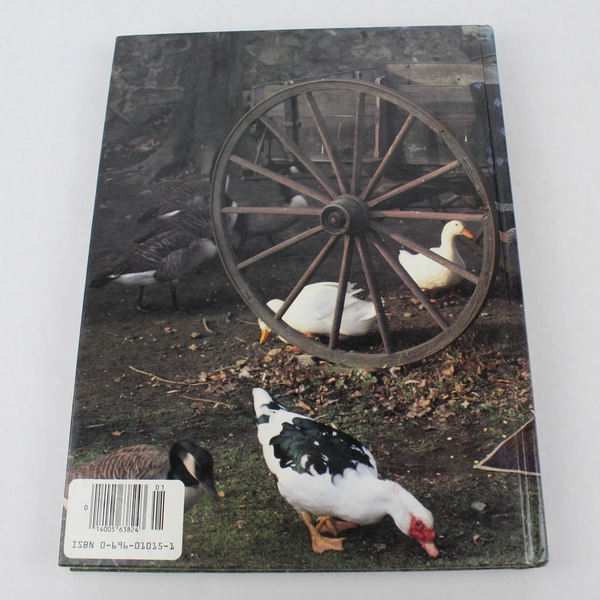 Vintage Better Homes & Gardens American Patchwork & Quilting Book 1986