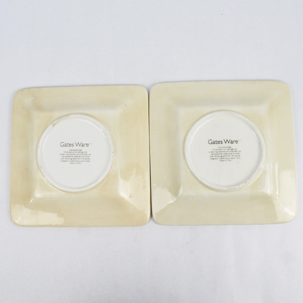 2 Laurie Gates Safari Zebra Square Salad Plates 8 Inch