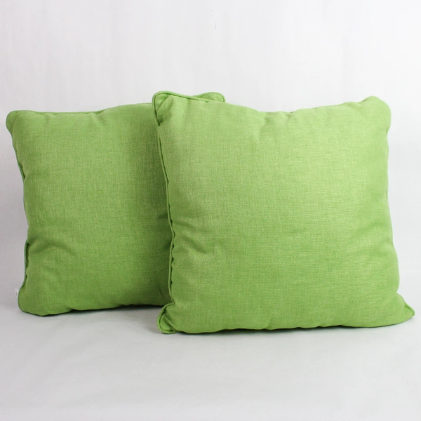 Set of 2 Solarium Green Patio Pillows Indoor or Outdoor Cushions 18" x 18"