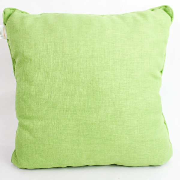 Set of 2 Solarium Green Patio Pillows Indoor or Outdoor Cushions 18" x 18"