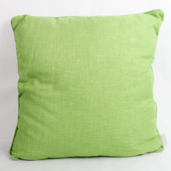 Set of 2 Solarium Green Patio Pillows Indoor or Outdoor Cushions 18" x 18"