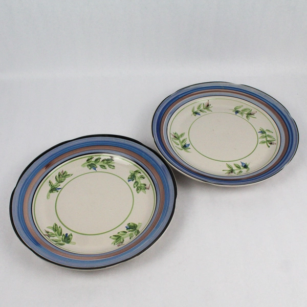 Set of 2 Royal Norfolk Dinner Plates Blue And Brown Stripes & Flowers 11 Inch