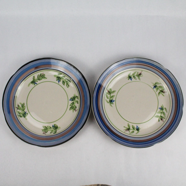Set of 2 Royal Norfolk Dinner Plates Blue And Brown Stripes & Flowers 11 Inch