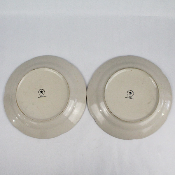 Set of 2 Royal Norfolk Dinner Plates Blue And Brown Stripes & Flowers 11 Inch