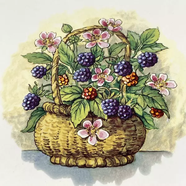 Wood 'N' Toys Handmade Cork Back Tile Trivet Basket Black Berries 8.75 Inch