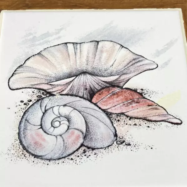 Wood N Toys Handmade Cork Back Tile Trivet Sea Shells 8.75 x 8.75 Inch