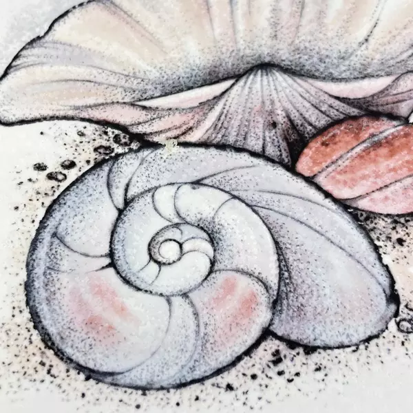 Wood N Toys Handmade Cork Back Tile Trivet Sea Shells 8.75 x 8.75 Inch