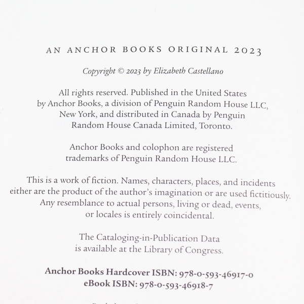 Save What's Left Elizabeth Castellano 2023 Anchor Books Hardcover Dust Jacket