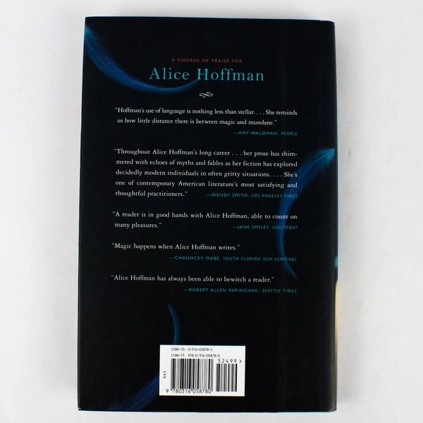 Skylight Confessions: A Novel Hardcover By Alice Hoffman
