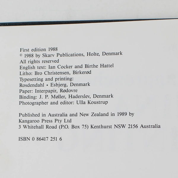 New Approaches to China Painting Birthe Hattel HC 1988